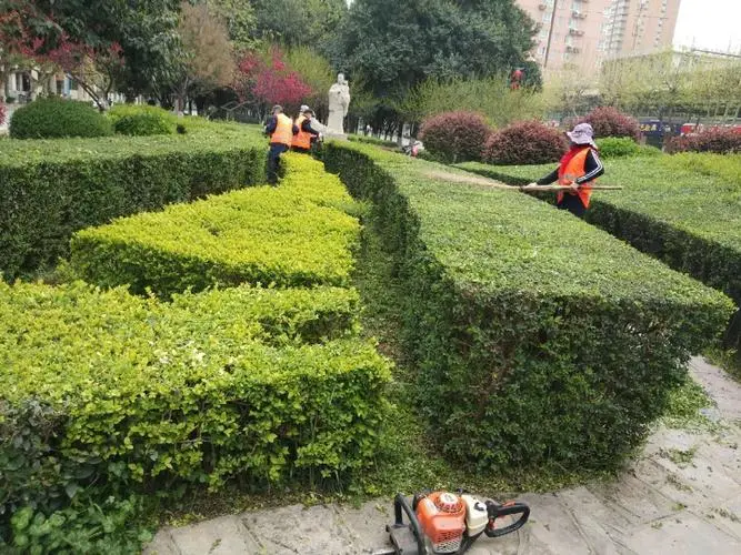 汕尾道路绿化工程施工方案